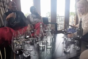 Robben Island, Penguins & Cape of Good Hope Adventure