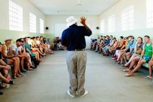 Tour di mezza giornata a Robben Island da Città del Capo con biglietto