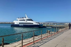 Robben Island, Table Mountain og Kirstenbosch, fra Cape Town