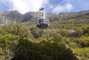 Robben Island, Table Mountain og Kirstenbosch, fra Cape Town