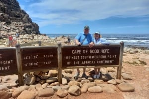 Biljetter till Robben Island, pingviner och privat rundtur i Cape Point