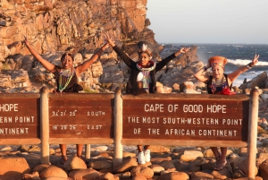 Entradas para Robben Island, Pingüinos y tour privado de Cape Point