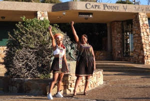 Entradas para Robben Island, Pingüinos y tour privado de Cape Point