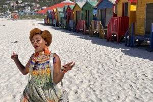 Entradas para Robben Island, Pingüinos y tour privado de Cape Point