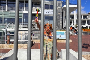 Entradas para Robben Island, Pingüinos y tour privado de Cape Point