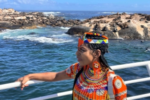 Entradas para Robben Island, Pingüinos y tour privado de Cape Point