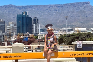 Entradas para Robben Island, Pingüinos y tour privado de Cape Point