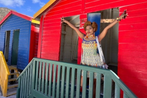 Entradas para Robben Island, Pingüinos y tour privado de Cape Point