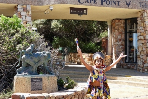 Entradas para Robben Island, Pingüinos y tour privado de Cape Point