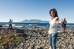 Entradas para Robben Island, Pingüinos y tour privado de Cape Point