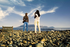 Entradas para Robben Island, Pingüinos y tour privado de Cape Point