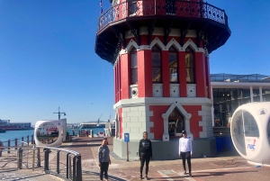 Entradas para Robben Island, Pingüinos y tour privado de Cape Point