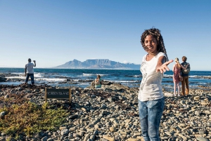 Robben Island Tickets, Penguins, and Private Cape Point Tour