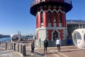 Robben Island Tickets, Penguins, and Private Cape Point Tour