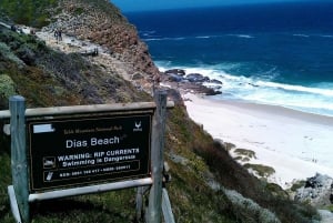 Robben Island Tickets, Penguins, and Private Cape Point Tour