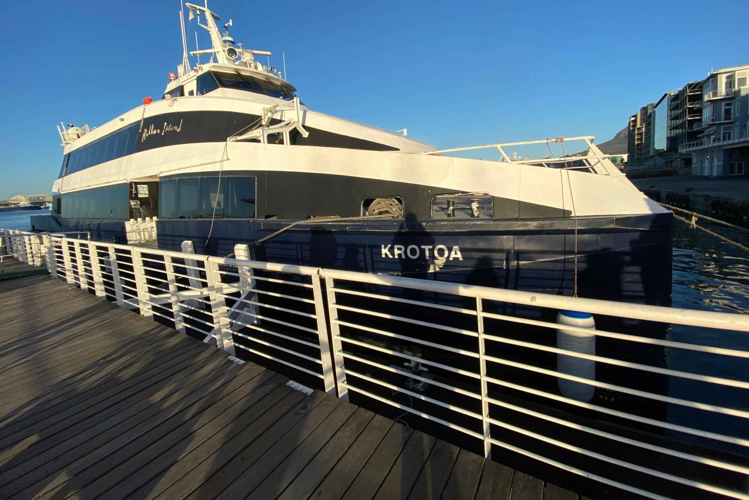 ロベン島ツアー＆テーブルマウンテンガイドツアー