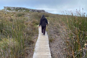 Robben Island Tour & Table Mountain guided Tour