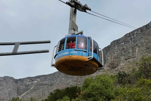 Robben Island Tour & Table Mountain guided Tour