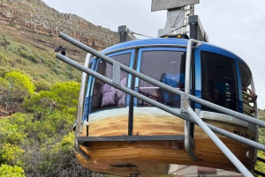 Robben Island Tour & Table Mountain guided Tour