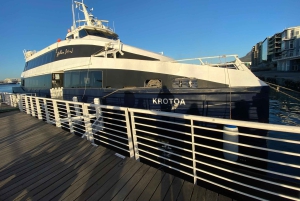 ロベン島ツアー＆テーブルマウンテンガイドツアー