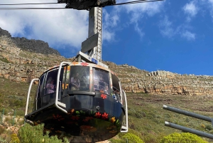 ロベン島ツアー＆テーブルマウンテンガイドツアー