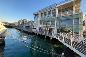 ロベン島ツアー＆テーブルマウンテンガイドツアー