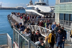 ロベン島ツアー＆テーブルマウンテンガイドツアー