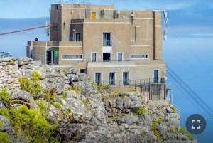 ロベン島ツアー＆テーブルマウンテンガイドツアー