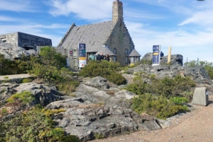 ロベン島ツアー＆テーブルマウンテンガイドツアー