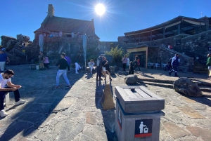 ロベン島ツアー＆テーブルマウンテンガイドツアー