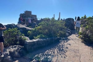 ロベン島ツアー＆テーブルマウンテンガイドツアー