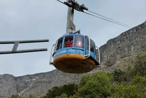 ロベン島ツアー＆テーブルマウンテンガイドツアー