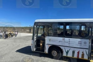 Robben Island med guidet tur i fængslet for SA ID-indehavere