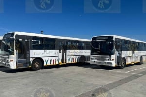 Robben Island med guidet tur i fængslet for SA ID-indehavere