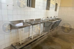 Robben Island med guidet tur i fængslet for SA ID-indehavere