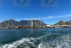 Robben Island med guidet tur i fængslet for SA ID-indehavere