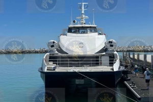 Robben Island med guidet tur i fængslet for SA ID-indehavere