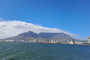Ciudad del Cabo: Excursión de un día a la Isla Robben y al Teleférico de la Montaña de la Mesa