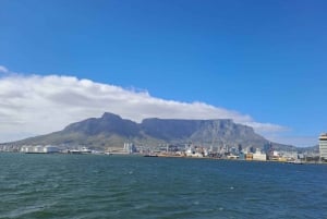 Cape Town: Robben Island & Table Mountain Cable Car Day Trip
