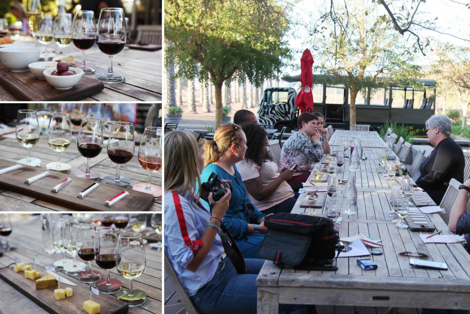 Robertson: Wine Appreciation Tour from Cape Town