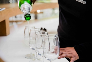 Robertson: Wine Appreciation Tour from Cape Town