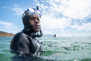 RockHopping with a Marine Biologist: Cape Peninsula Full Day