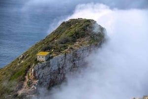 Kaapstad: Dagvullende tour op het schiereiland met een mariene bioloog
