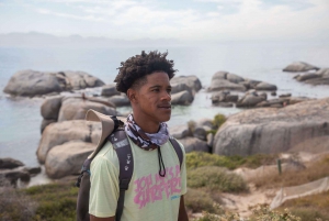 Cidade do Cabo: Excursão de 1 dia à Península com um biólogo marinho