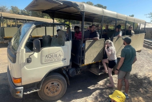 SAFARI – Kapkaupunki Aquila Big 5 & lounas (sisältää hotellinoudon)