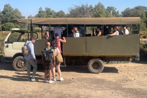 SAFARI – Kapkaupunki Aquila Big 5 & lounas (sisältää hotellinoudon)