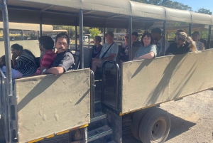 SAFARI – Kapkaupunki Aquila Big 5 & lounas (sisältää hotellinoudon)