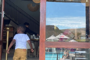 SAFARI – Kapkaupunki Aquila Big 5 & lounas (sisältää hotellinoudon)