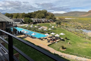 SAFARI – Kapkaupunki Aquila Big 5 & lounas (sisältää hotellinoudon)