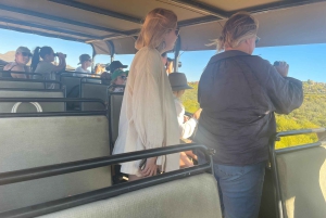 SAFARI – Kapkaupunki Aquila Big 5 & lounas (sisältää hotellinoudon)